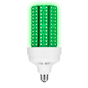 Green LED light bulb on white background.