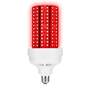 Red and white LED light bulb.