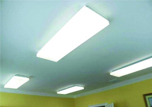 Ceiling with rectangular fluorescent light fixtures.