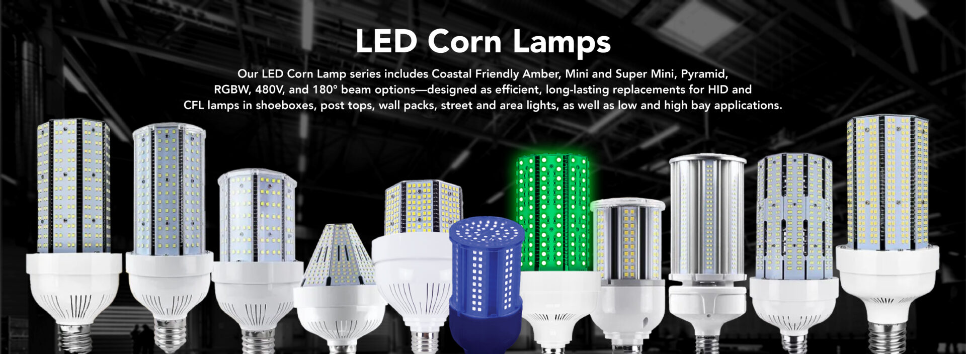 Various LED corn lamps displayed on shelves.