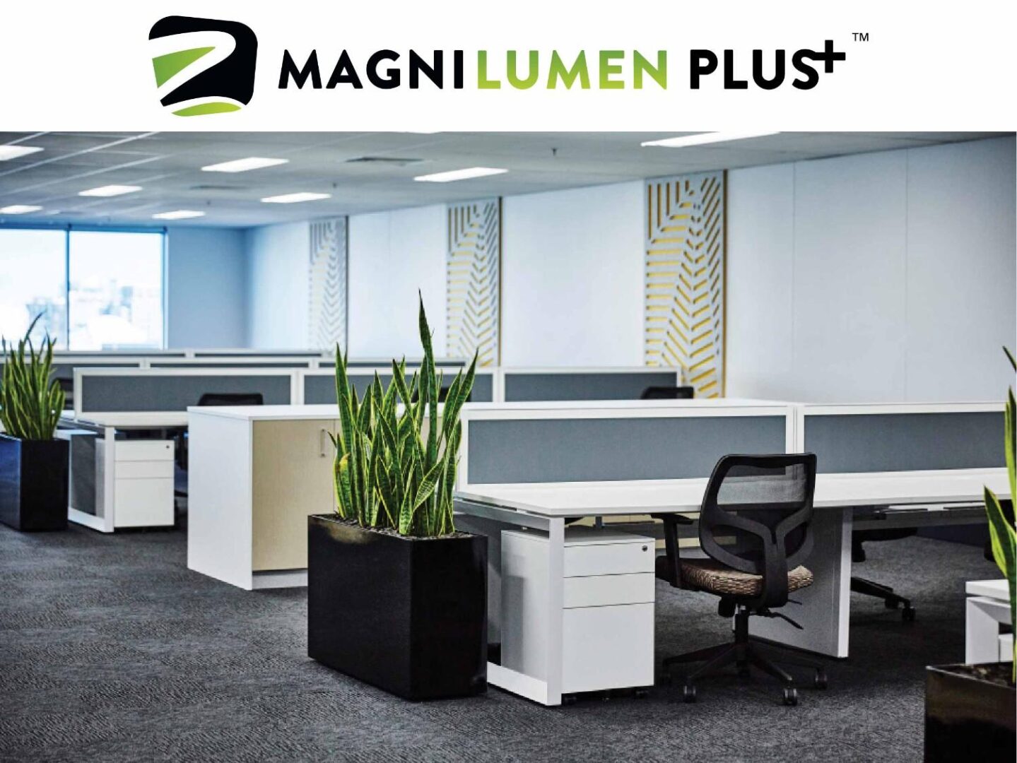 Modern office with cubicles and plants.